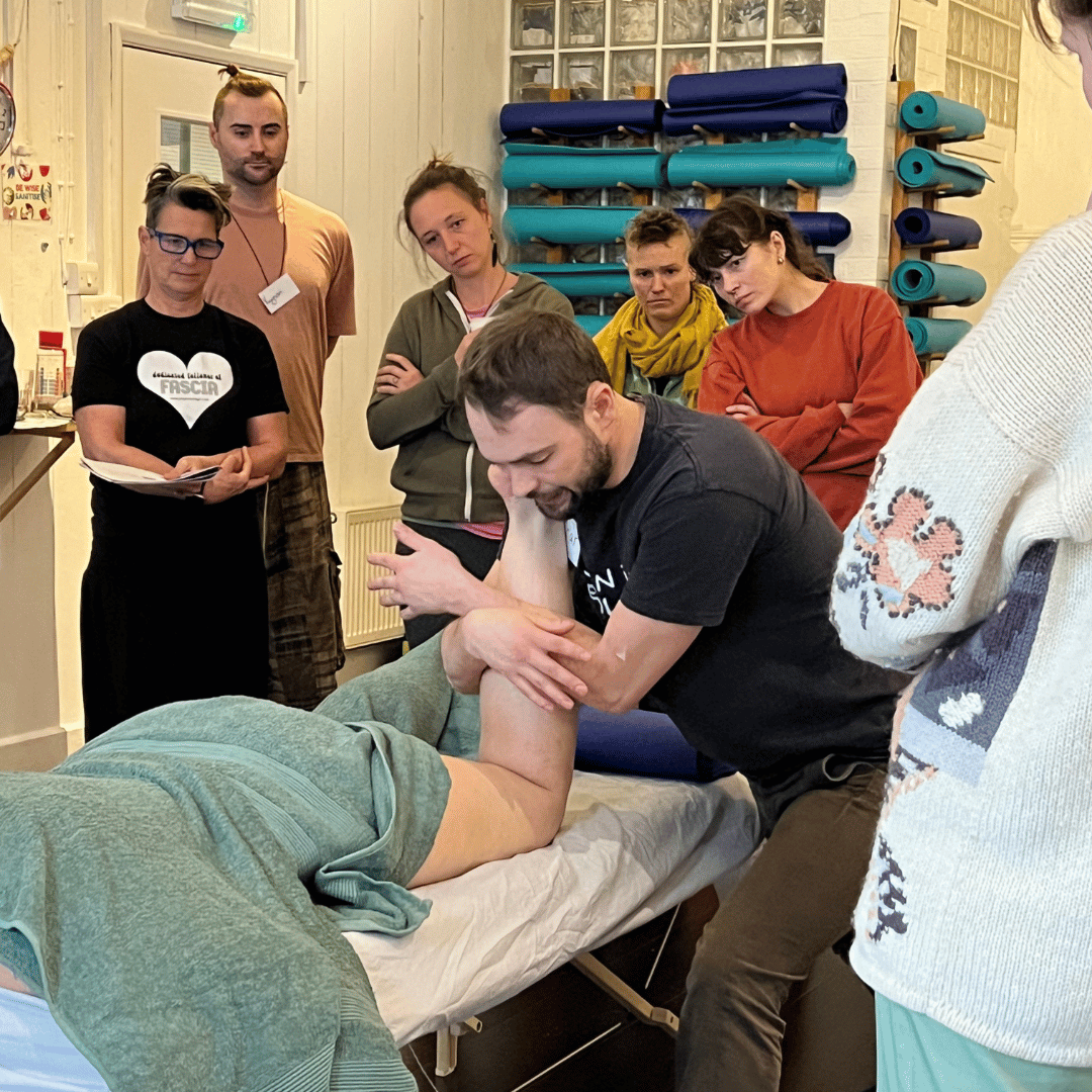 Bodywork Beginnings - Image 6