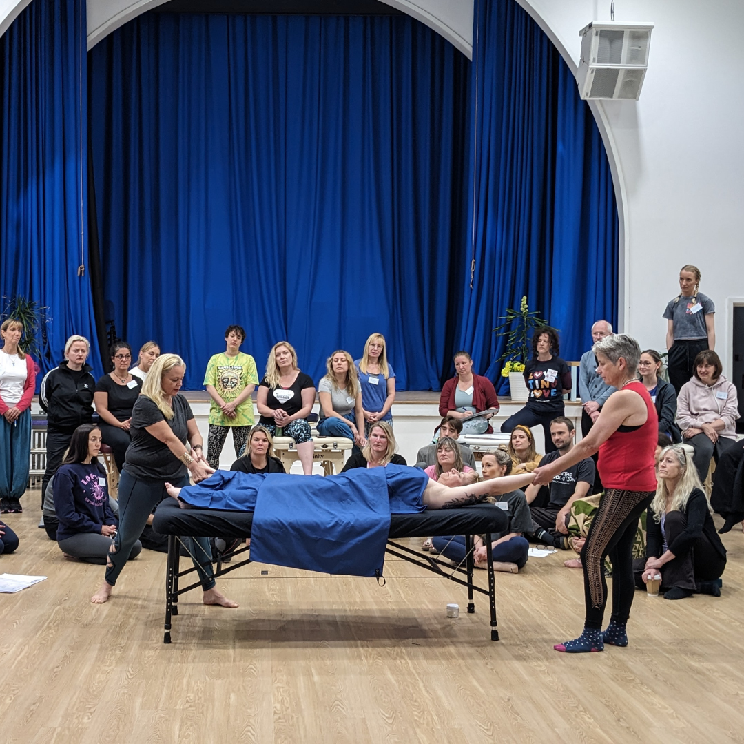 Certificate in Advanced Myofascial Release - Image 4